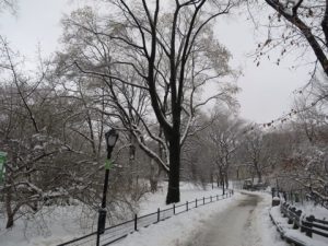 雪のセントラルパーク内