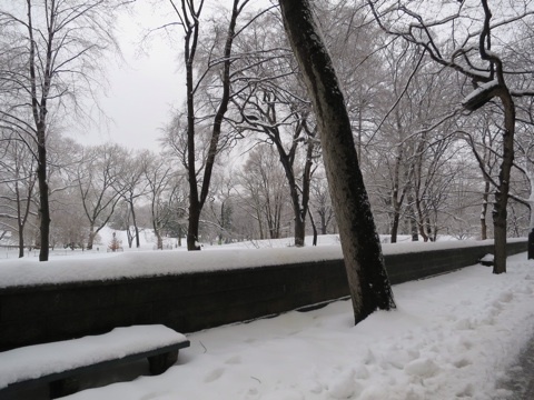 雪景色のセントラルパーク